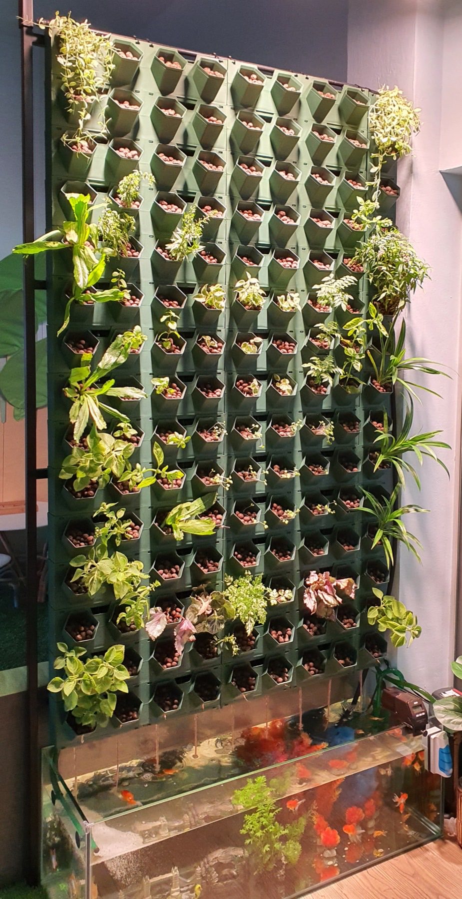 An indoor aquaponics aesthetic wall with planting pockets and a fish tank โ ideal as an office or retail feature installation
