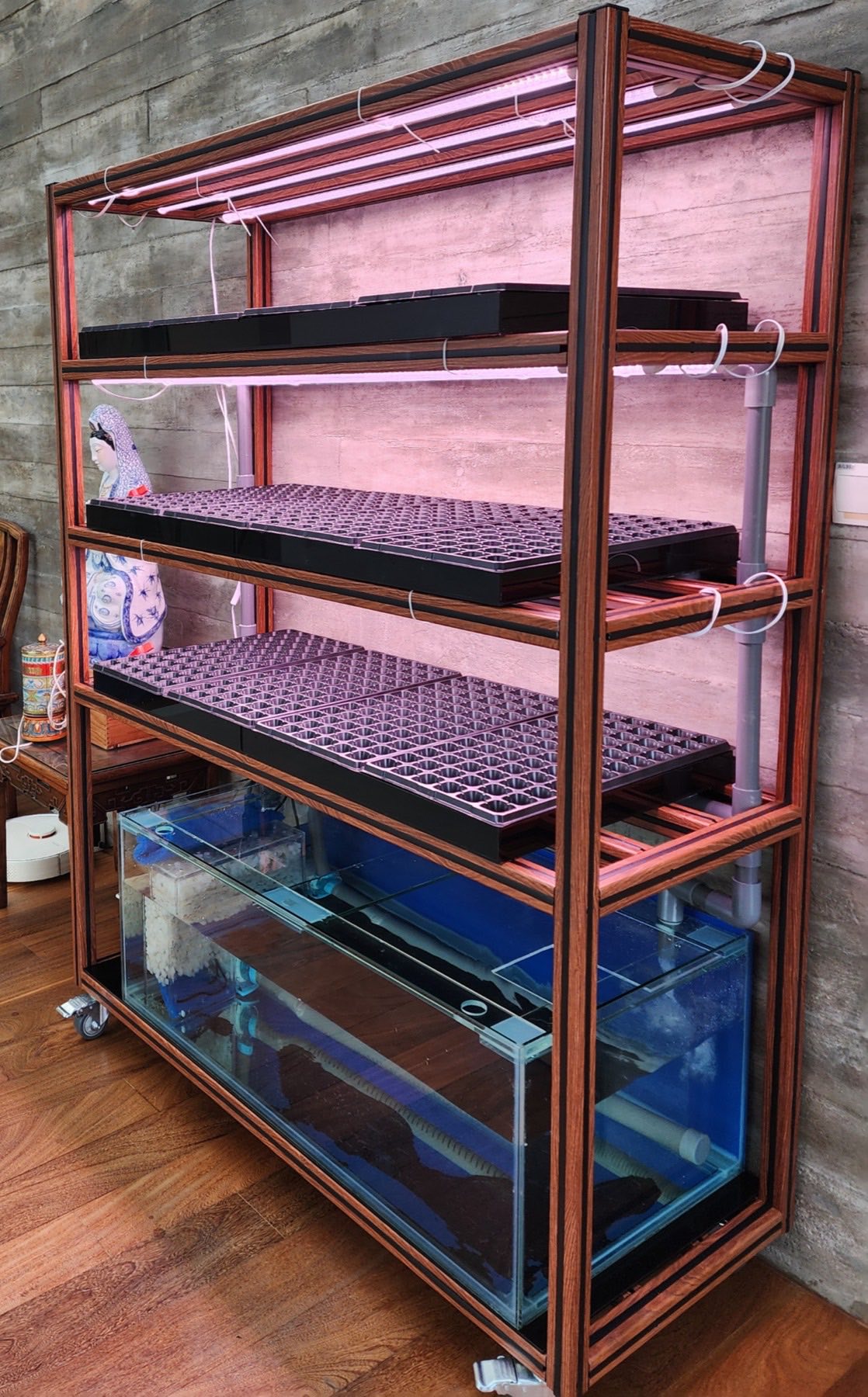The TDA AquaFrame: a modular home aquaponics unit with aluminium frame, integrated fish tank base and stacked growing racks