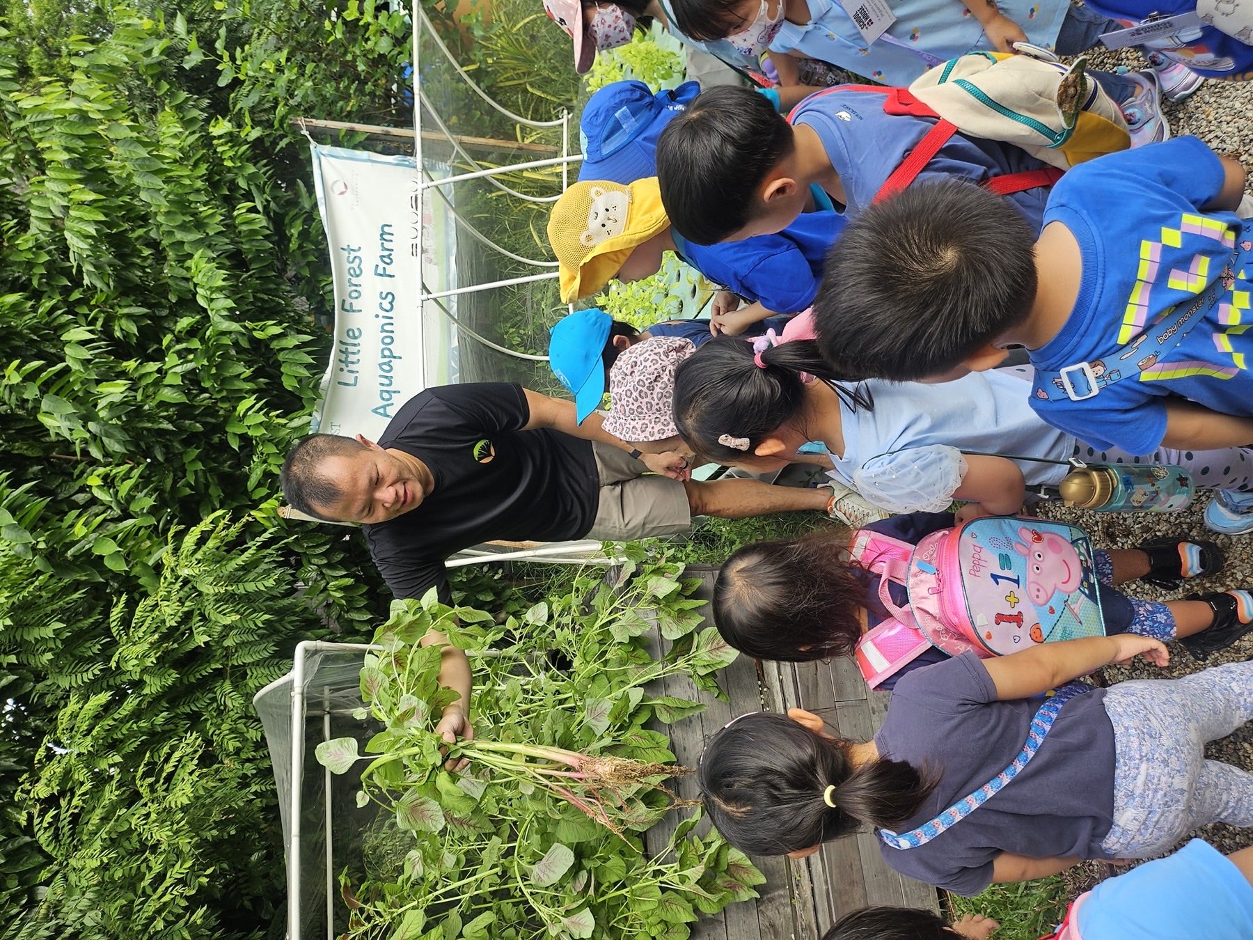 Students gathered around an educational aquaponics garden bed during a school programme